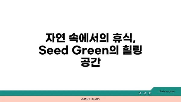 화담숲 카페 Seed Green: 아름다운 자연 경관이 덤