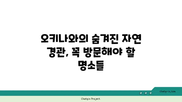 오키나와 자연 경관과 해변 명소에서 필수 여행 코스를 탐방하세요