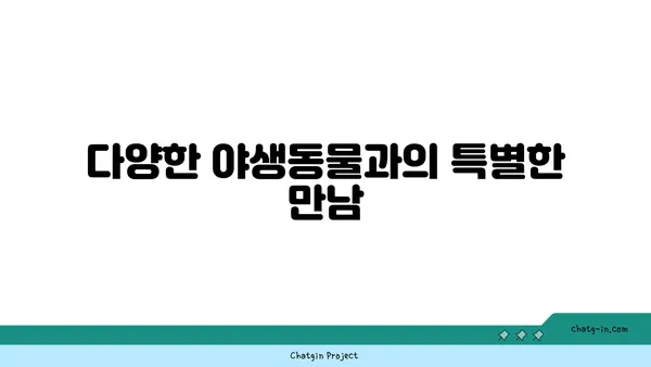 가봉 여행 코스: 자연경관을 감상하며 즐기는 여행