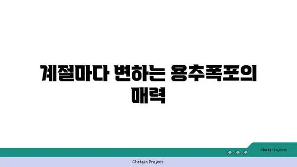 울창한 숲 속의 숨 막히는 경치: 경남 용추폭포