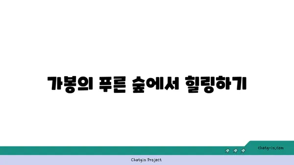 가봉 여행 코스: 자연경관을 감상하며 즐기는 여행