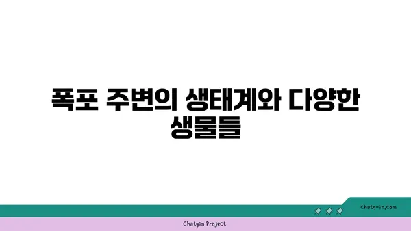 맑은 물소리와 힐링 자연경관의 용추폭포