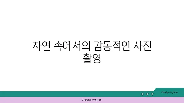 엄마와 딸의 교토 여행 후기: 아름다운 자연경관에 흠뻑 취해