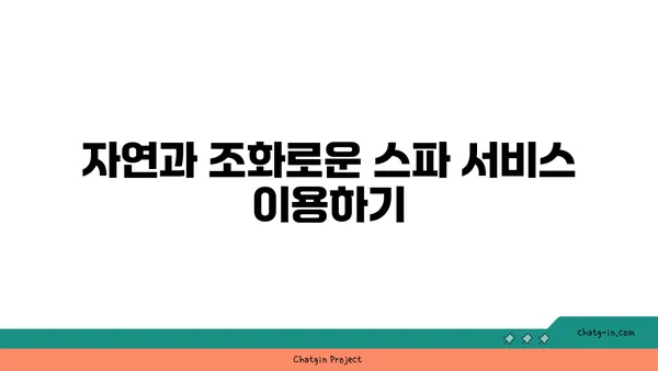 인천공항 호텔의 편안한 휴식처: 연화문 호텔의 영종도 스파