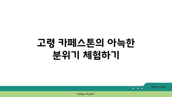 고령 카페스톤: 자연경관이 멋진 고령 카페