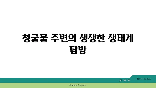 제주 동쪽의 놀라운자연 경관: 청굴물의 아름다움과 평화로운 분위기