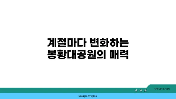 봉황대공원에서 아름다운 자연 경관을 자랑하는 산책