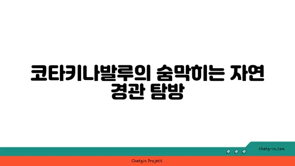 숲속의 숨막히는 풍경: 코타키나발루 필수 여행지