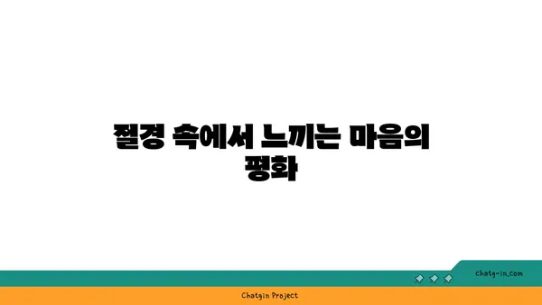 맑은 물소리와 힐링 자연경관의 용추폭포