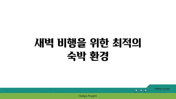 인천공항 베스트웨스턴: 새벽 비행 추천 숙소