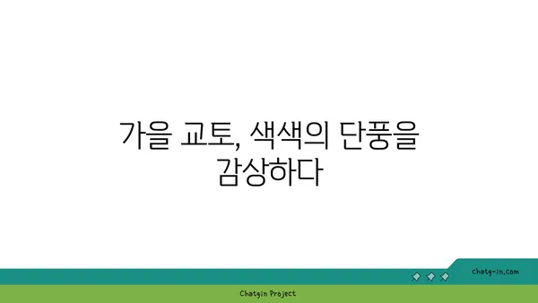엄마와 딸의 교토 여행 후기: 아름다운 자연경관에 흠뻑 취해