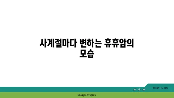 휴휴암의 아름다운 자연 경관에서 휴식을 취하세요