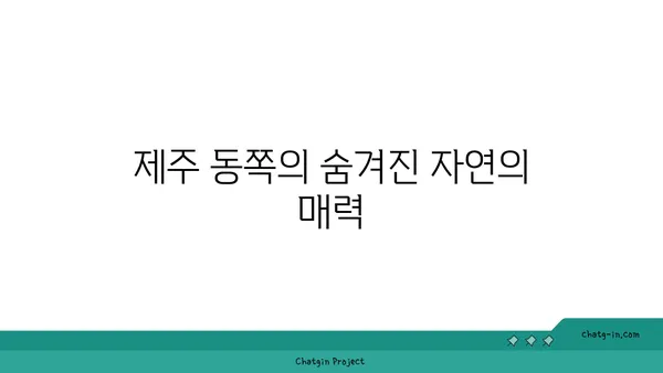 제주 동쪽의 놀라운자연 경관: 청굴물의 아름다움과 평화로운 분위기
