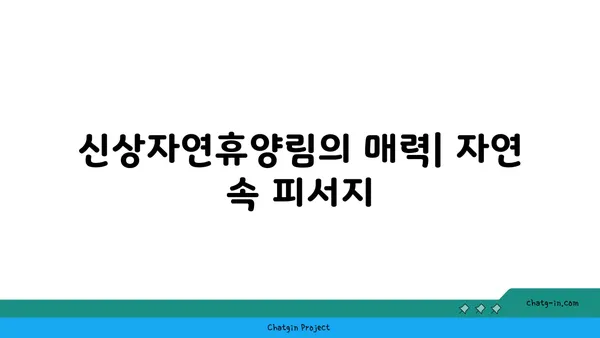 신상자연휴양림 신축 예약: 가을 여행지로 추천하는 곳