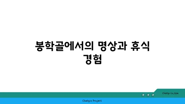 충북 음성 봉학골: 자연의 포옹 속에서 찾는 평화