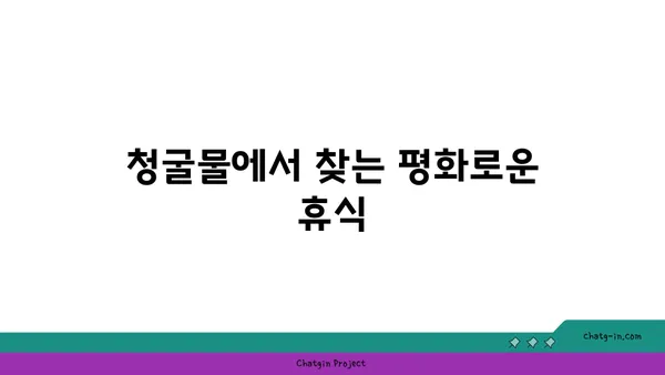 제주 동쪽의 놀라운자연 경관: 청굴물의 아름다움과 평화로운 분위기