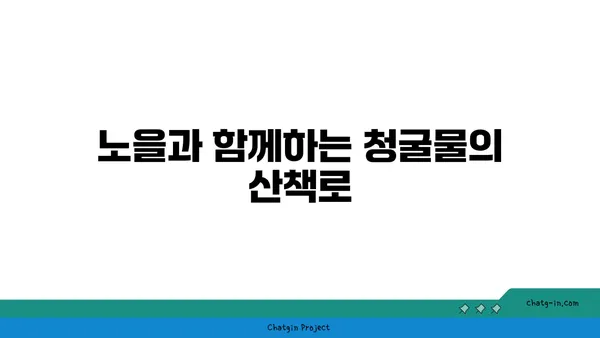 제주의 놀라운 노을 명소: 청굴물의 자연경관