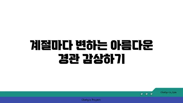 아름다운 자연 경관을 갖춘 전주의 추천 카페 카페온더힐