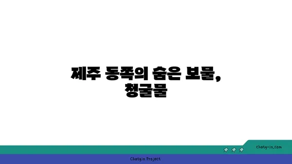제주 동쪽의 노을 명소: 청굴물, 놓치지 마세요