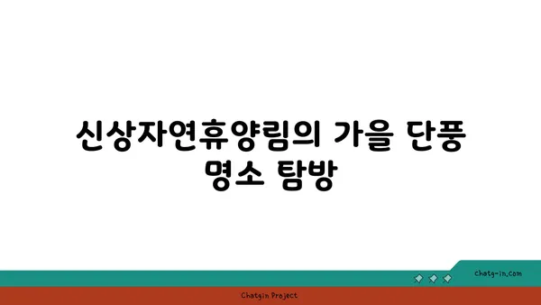 신상자연휴양림에서 만나는 가을의 아름다움