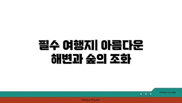 숲속의 숨막히는 풍경: 코타키나발루 필수 여행지