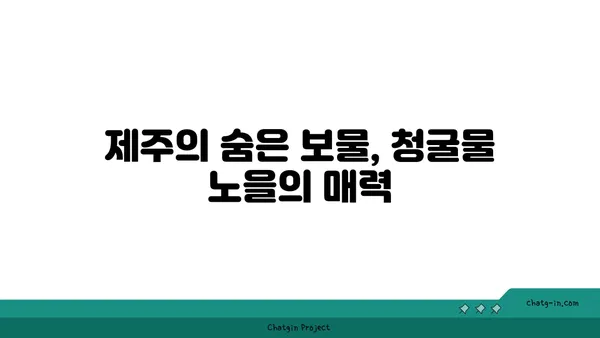 제주의 놀라운 노을 명소: 청굴물의 자연경관