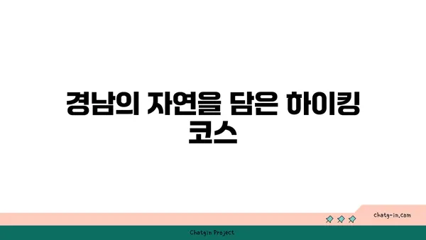 울창한 숲 속의 숨 막히는 경치: 경남 용추폭포