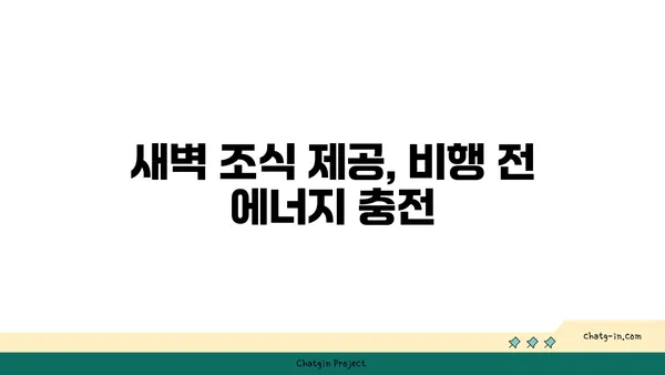 인천공항 근처 호텔의 새벽 비행 대비 팁: 베스트웨스턴 추천