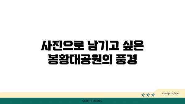 봉황대공원의 멋진 자연경관 속 산책