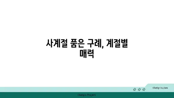 구례 여행: 자연의 평화로운 아름다움을 품은 여정