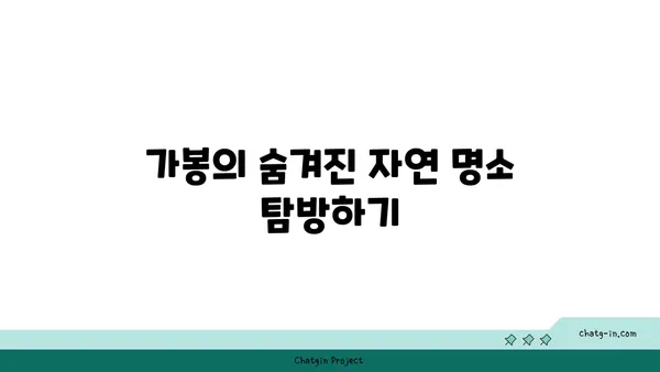 가봉 여행 코스: 자연경관을 감상하며 즐기는 여행