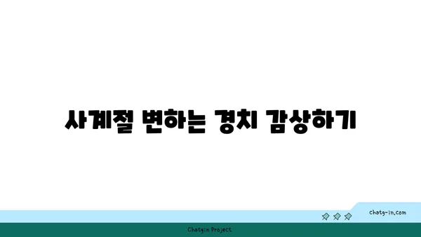 경포호 뒤편의 멋진 자연 경관을 갖춘 한옥 카페 서지초가뜰