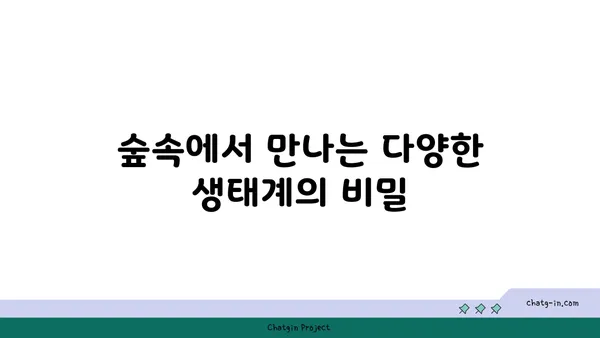 숲속의 숨막히는 풍경: 코타키나발루 필수 여행지