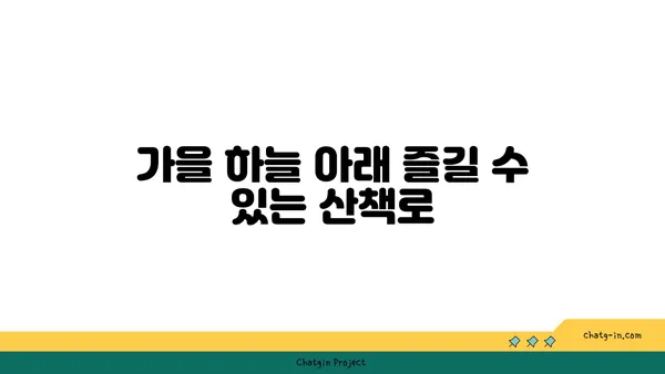 신상자연휴양림에서 만나는 가을의 아름다움