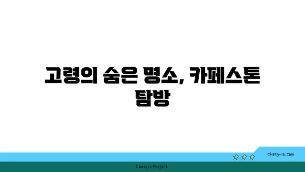 고령 카페 카페스톤: 자연경관이 감싸 안은 편안한 여유