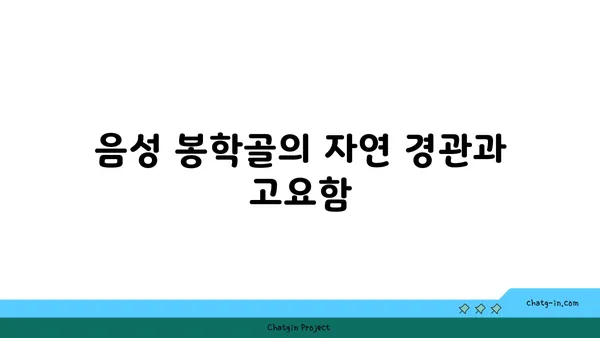 충북 음성 봉학골: 자연의 포옹 속에서 찾는 평화