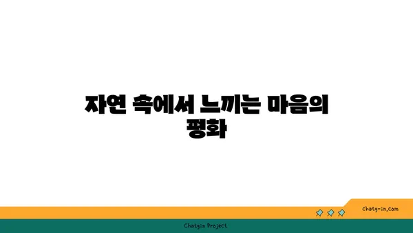 고령 카페 카페스톤: 자연경관이 감싸 안은 편안한 여유