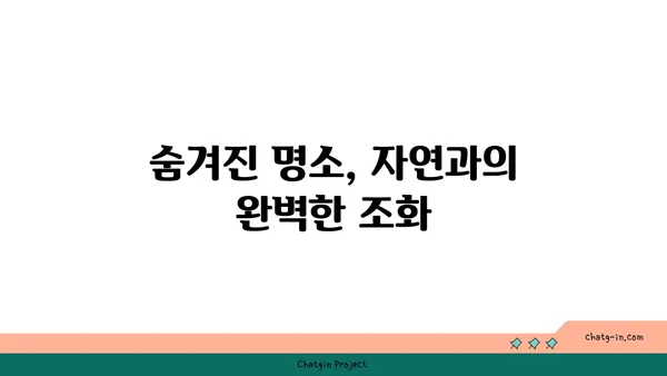 봉황대공원에서 아름다운 자연 경관을 자랑하는 산책