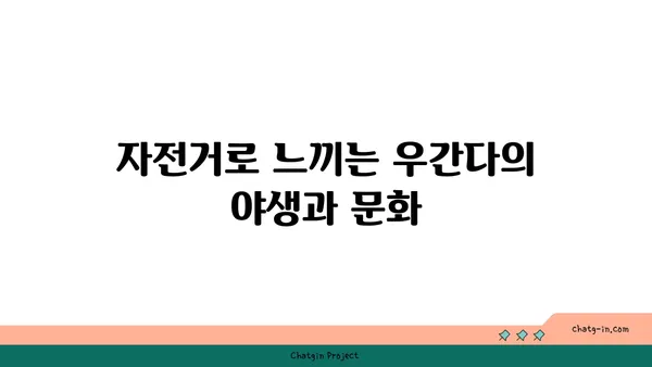 우간다 자전거 여행으로 즐기는 독특한 자연경관