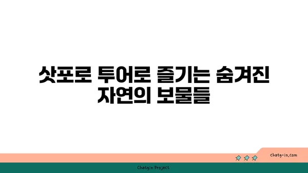 삿포로 버스 투어로 즐기는 자연경관