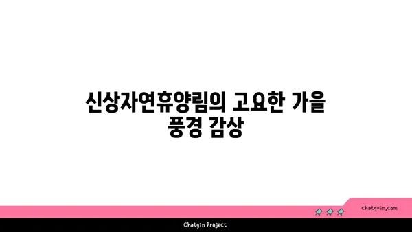 신상자연휴양림에서 만나는 가을의 아름다움