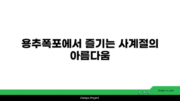 용추폭포: 함양의 맑은 물소리 속 평화로운 자연의 경치