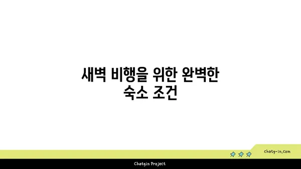 인천공항 근처 호텔의 새벽 비행 대비 팁: 베스트웨스턴 추천