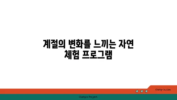 신상자연휴양림에서 만나는 가을의 아름다움
