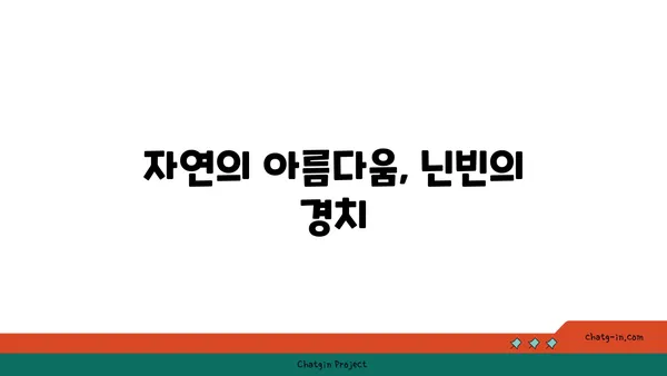 닌빈 반나절 코스: 역사와 자연경관의 매력적인 결합