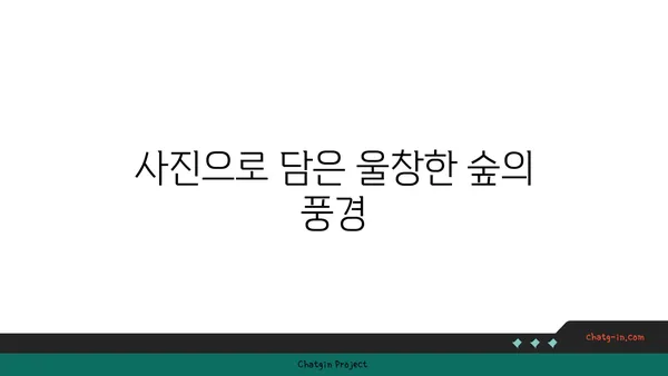울창한 숲 속의 숨 막히는 경치: 경남 용추폭포