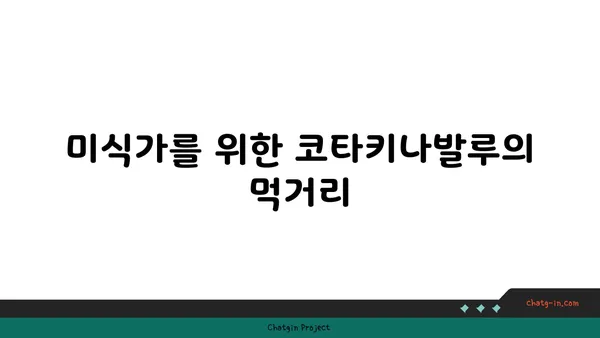 코타키나발루 필수 여행지 모음