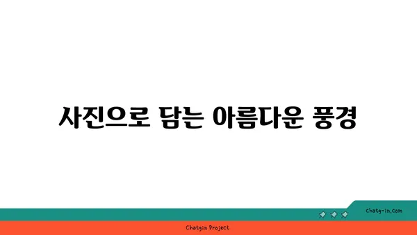 닌빈 반나절 코스: 역사와 자연경관을 모두 즐기는 여행