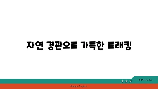 닌빈 반나절 코스: 역사와 자연경관을 모두 즐기는 여행