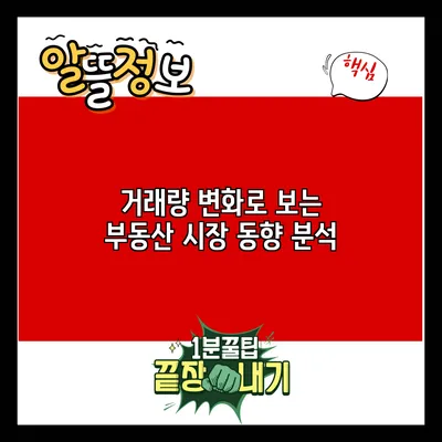 거래량 변화로 보는 부동산 시장 동향 분석